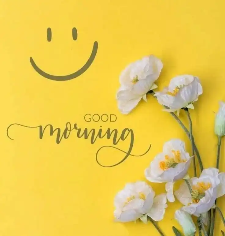 good morning new style